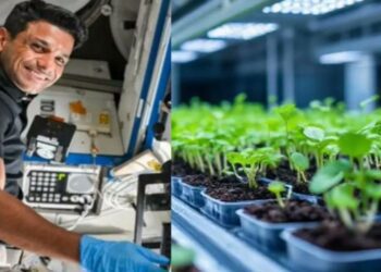 Untitled design 2025 07 10t081136.883