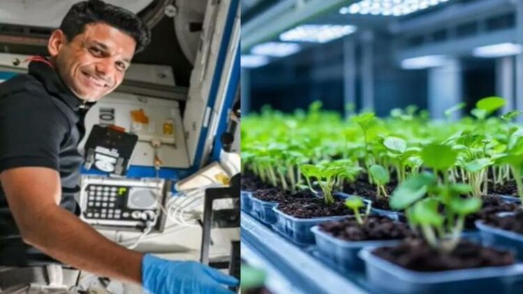 Untitled design 2025 07 10t081136.883