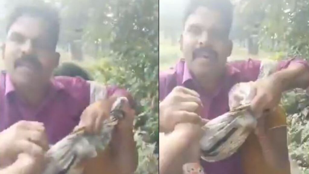 Untitled design 2025 07 13t192622.040