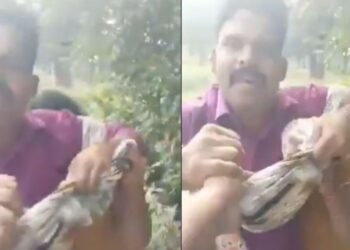 Untitled design 2025 07 13t192622.040