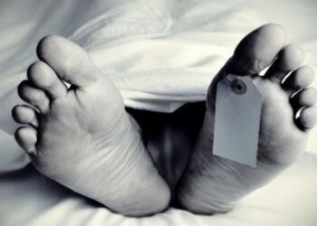 Untitled design 2025 07 14t170508.293