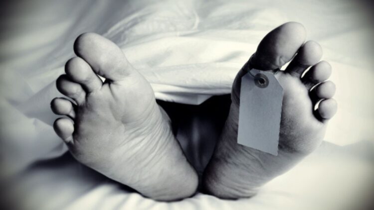 Untitled design 2025 07 14t170508.293