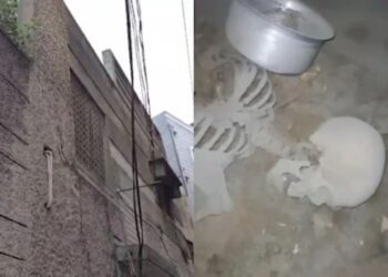 Untitled design 2025 07 15t203535.605