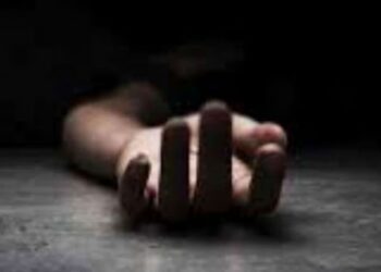 Untitled design 2025 07 28t223841.826