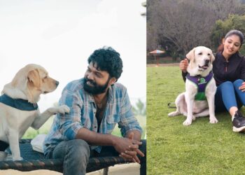 Untitled design 2025 07 29t185213.142