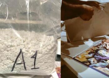 Untitled design (25)