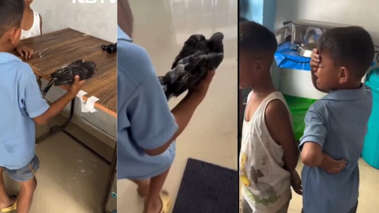 Untitled design (27)