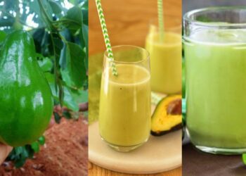 Untitled design (30)