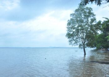 Untitled design (37)