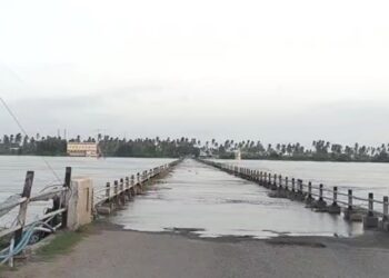 Untitled design (38)