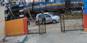 Untitled design (51)