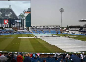 Untitled design (53)