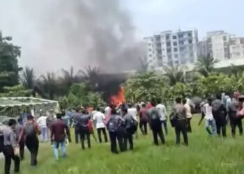 Untitled design (55)