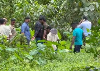 Untitled design (64)