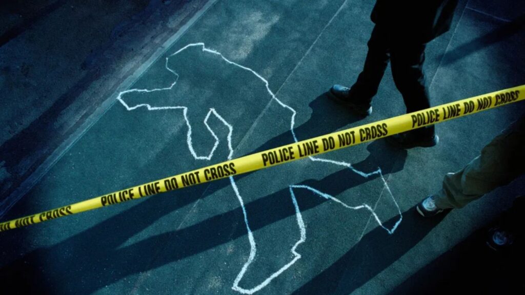 Untitled design (73)