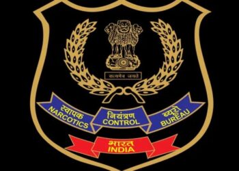 Untitled design (76)