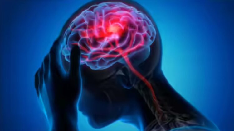 Untitled design (79)