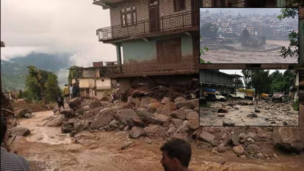 Untitled design (81)