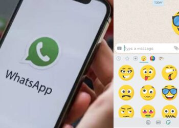 Untitled design (81)