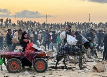 Untitled design (82)