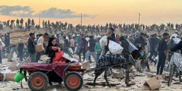 Untitled design (82)