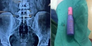 Untitled design (83)