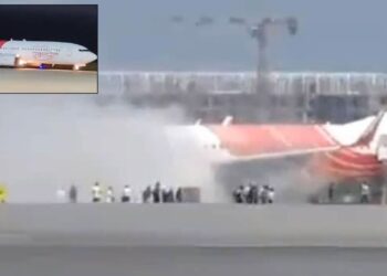 Untitled design (85)