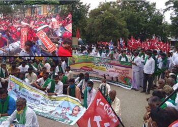 Your paragraph text (11)