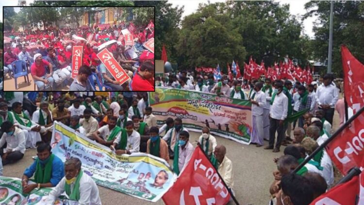 Your paragraph text (11)