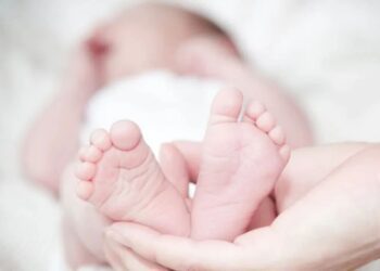 Your paragraph text (3)