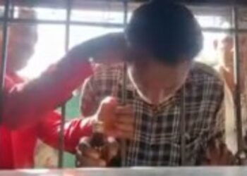 Your paragraph text (5)