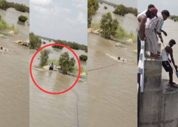 Your paragraph text 6 1