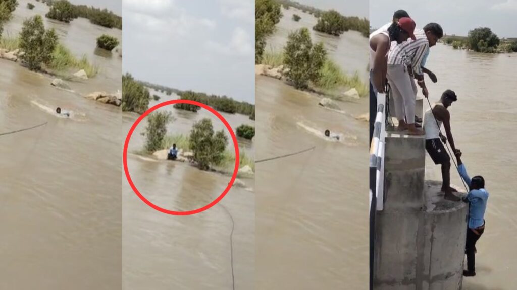 Your paragraph text (6)