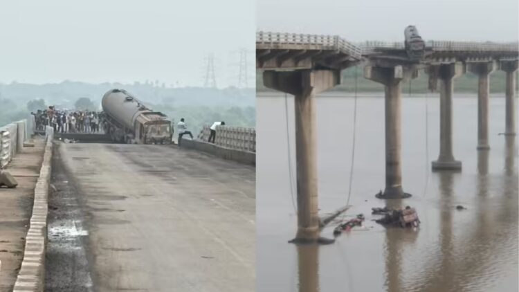 Your paragraph text (7)