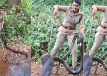 Web 2025 07 07t183526.552