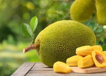 Web 2025 07 27t181243.898