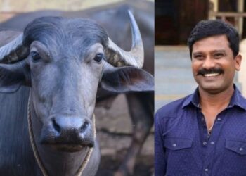 1 2025 08 20t125609.731