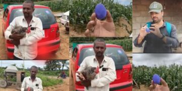 1 2025 08 26t230800.587