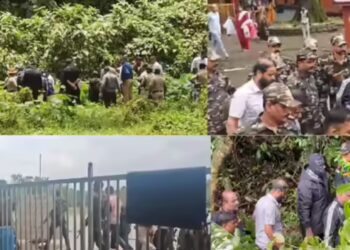 Untitled design (11)