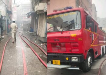 Untitled design (19)