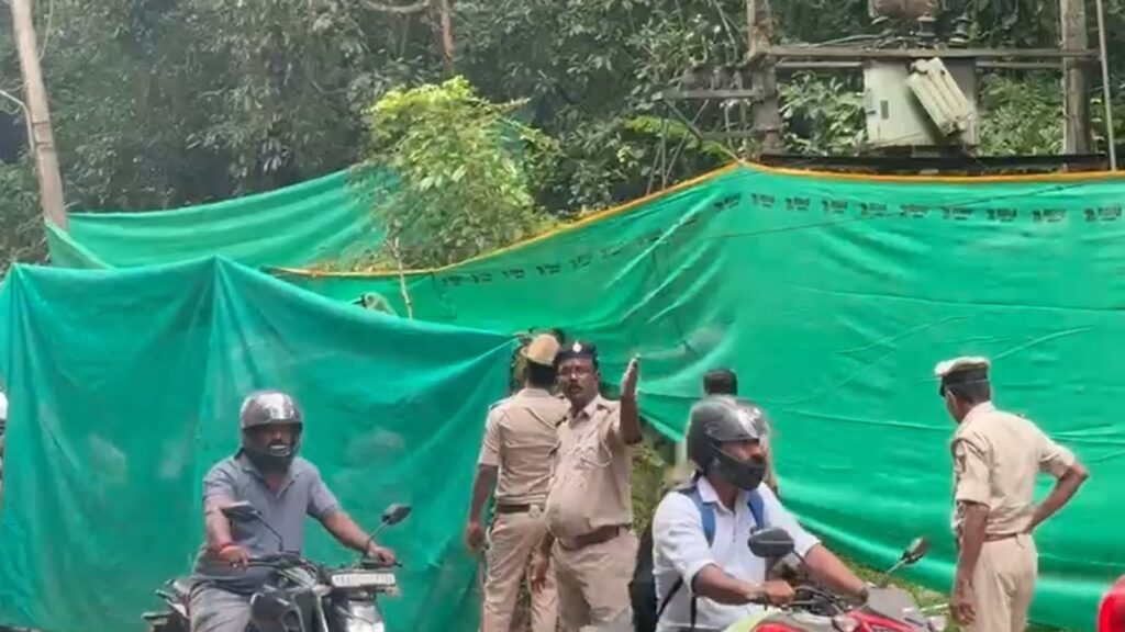 Untitled design (20)