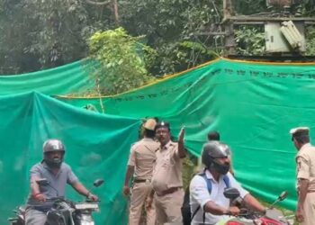 Untitled design (20)