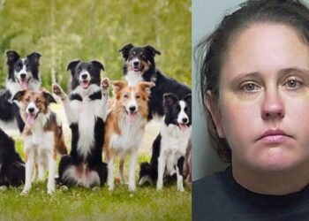 Untitled design 2025 08 08t182124.803