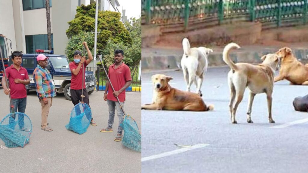 Untitled design 2025 08 10t085117.913