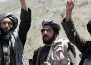 Untitled design 2025 08 12t090929.974