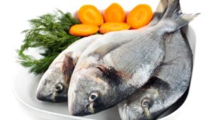 Untitled design 2025 08 21t074157.198