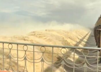 Untitled design 2025 08 21t105852.929