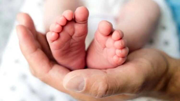 Untitled design 2025 08 28t194637.340