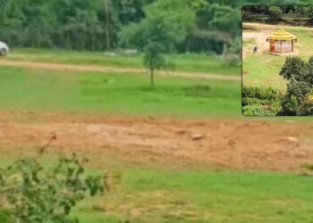 Untitled design 2025 08 29t110553.243