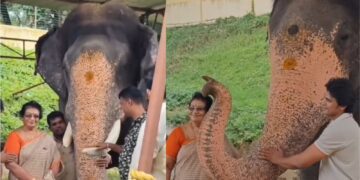 Untitled design 2025 08 29t204911.699